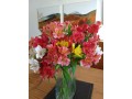 venta-de-hermosas-flores-con-despacho-a-domicilio-small-1