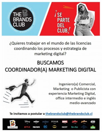 coordinadora-marketing-digital-big-0