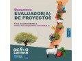 evaluadora-de-proyectos-small-0