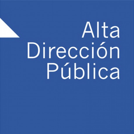 fiscal-agencia-chilena-de-cooperacion-internacional-para-el-desarrollo-big-0