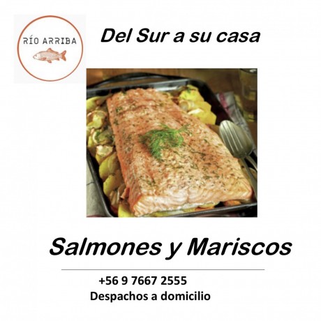 salmones-y-mariscos-big-0