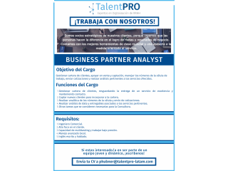 Business Partner Analyst