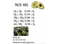 paltas-hass-small-0